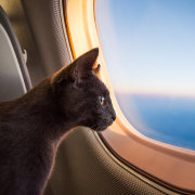 航空知识杂志王亚男