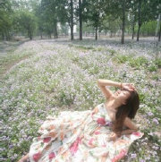 紫微神数算命 武曲破军星在巳亥宫坐命 紫微神数算命 武曲破军星在巳亥宫坐命