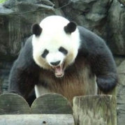 张忆安-龙战于野