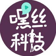 嘿丝科技
