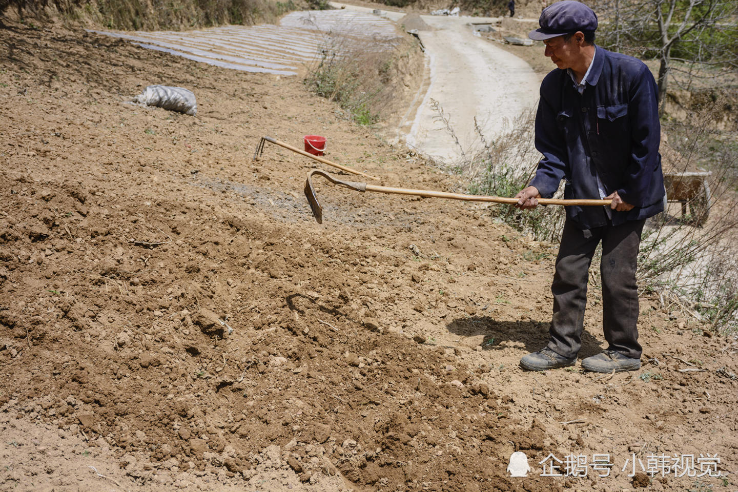 农民在自家土地里挖坑 原来是做这个啊!长见识了!