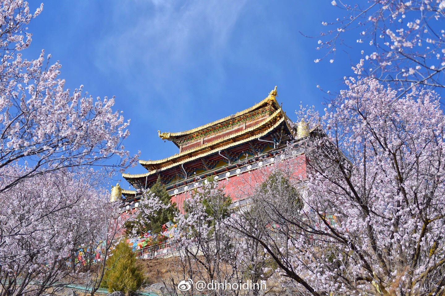 在龟山公园的山顶上既可以看到周边古城的美景