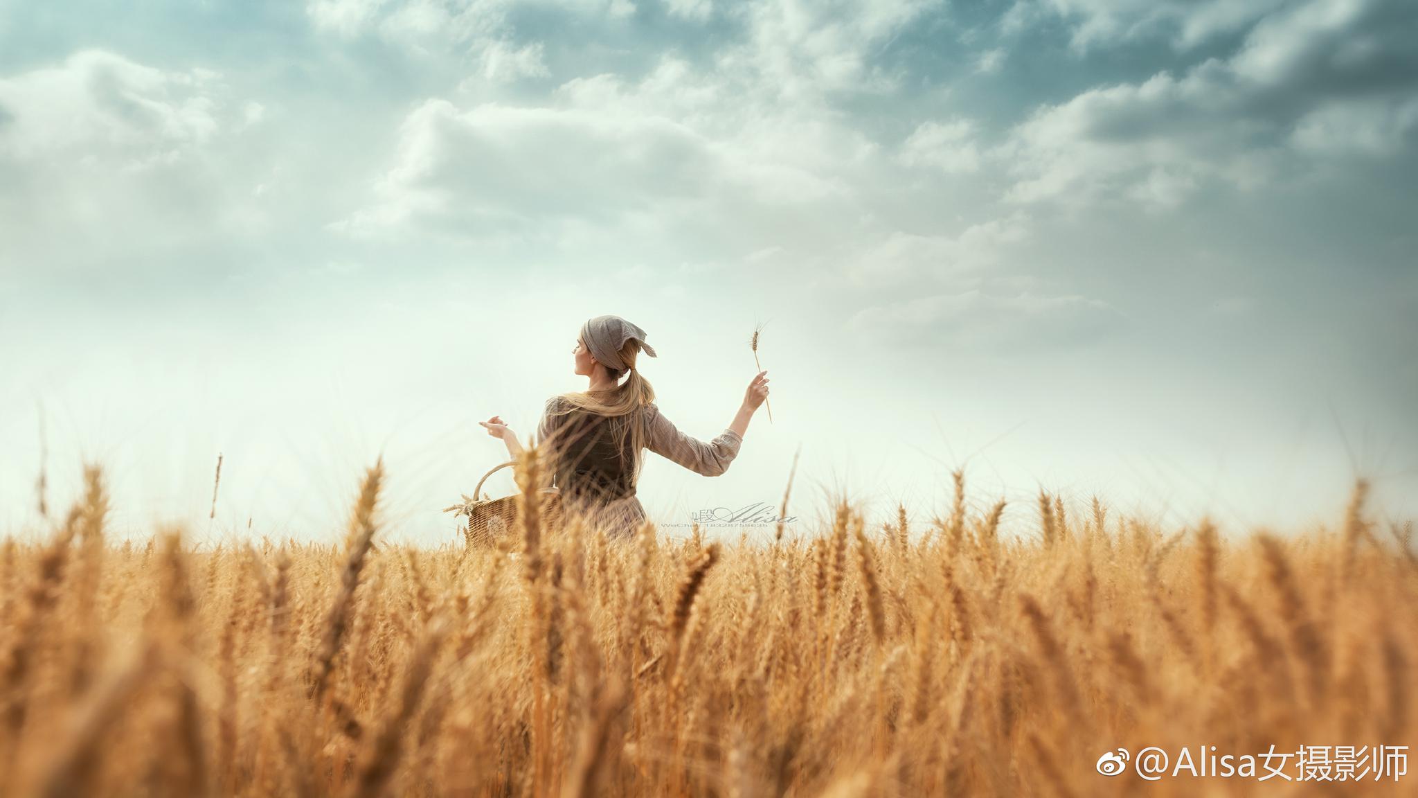 《风吹麦浪》麦子熟了麦浪滚滚泛清香拍摄:出镜:anna