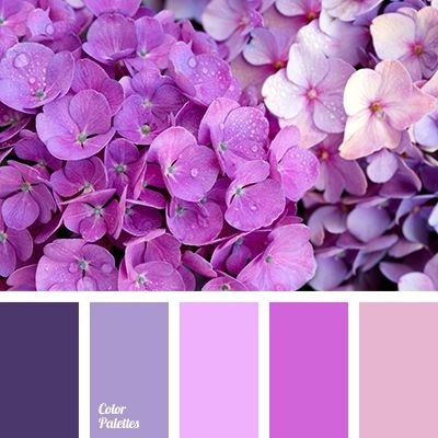 紫色配色.