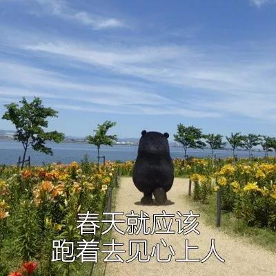 三个月开口说话,搞笑的么?春天到了,来啊,快活啊