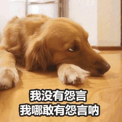 我很好我没事玩你的游戏去吧口是心非表情包