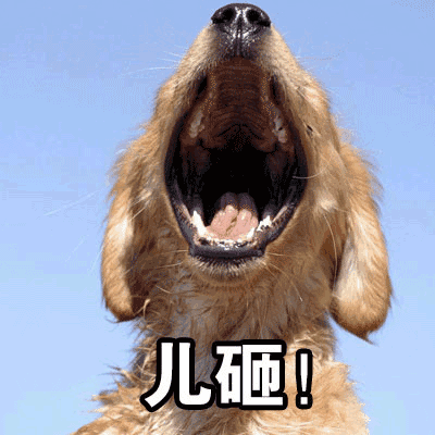 喊儿子表情包:儿砸