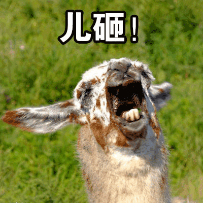 喊儿子表情包儿砸