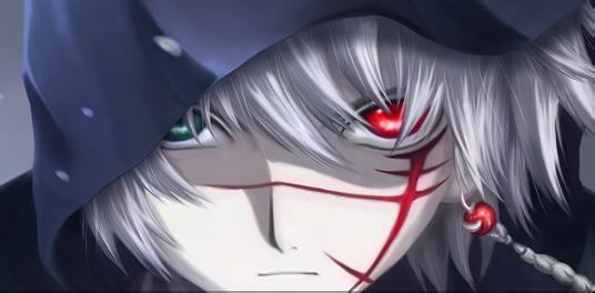 动漫十大银发美男