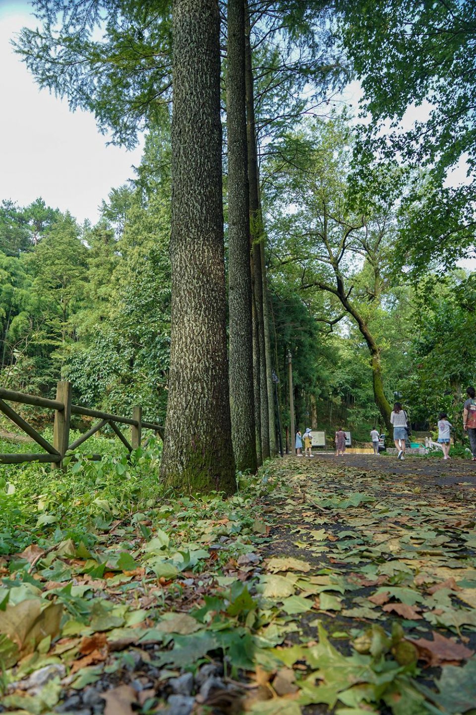 不用到欧洲旅游 莫干山就有一座欧洲范教堂