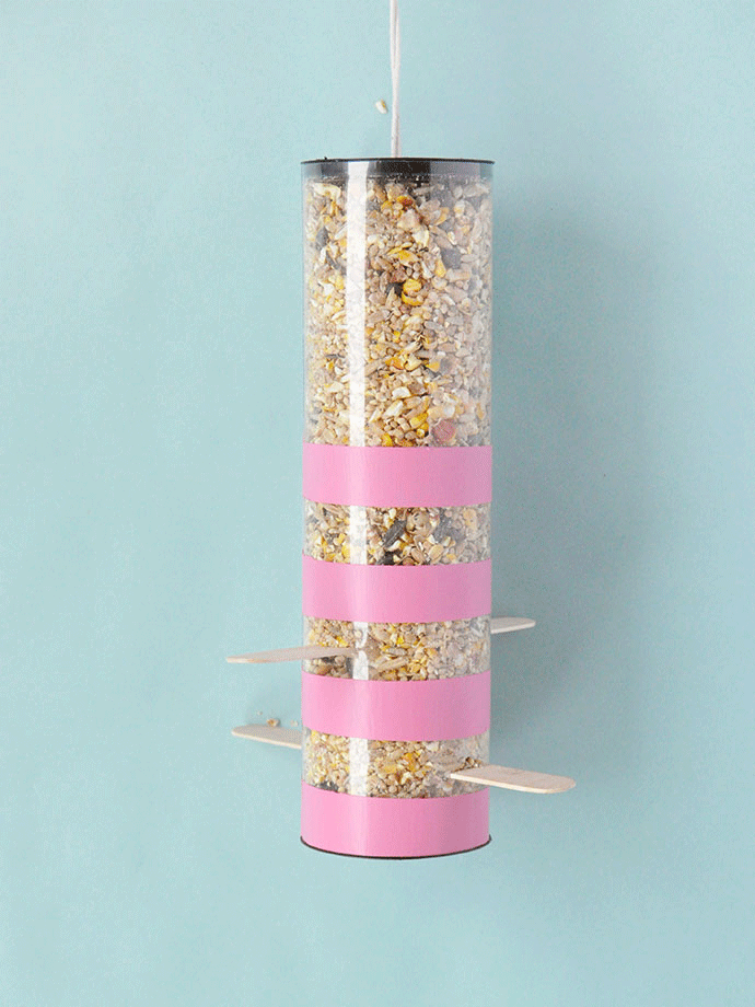 废物利用:教你手工自制野外鸟食投喂器,让鸟儿不再挨饿!