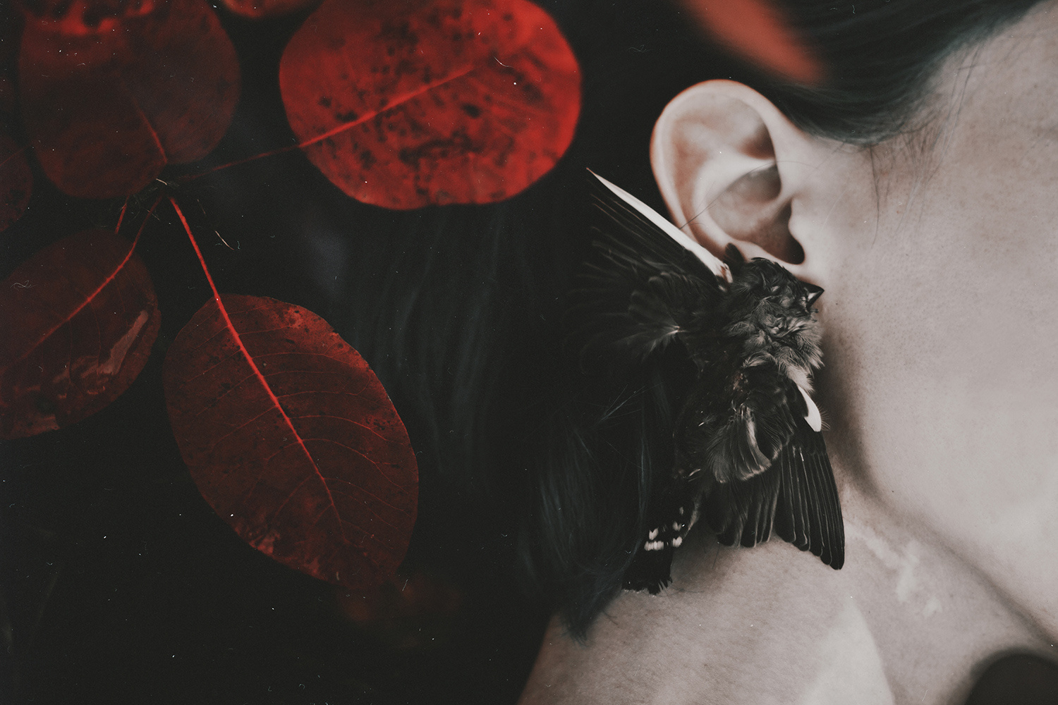 忧郁美学 | 俄罗斯摄影师 natalia drepina