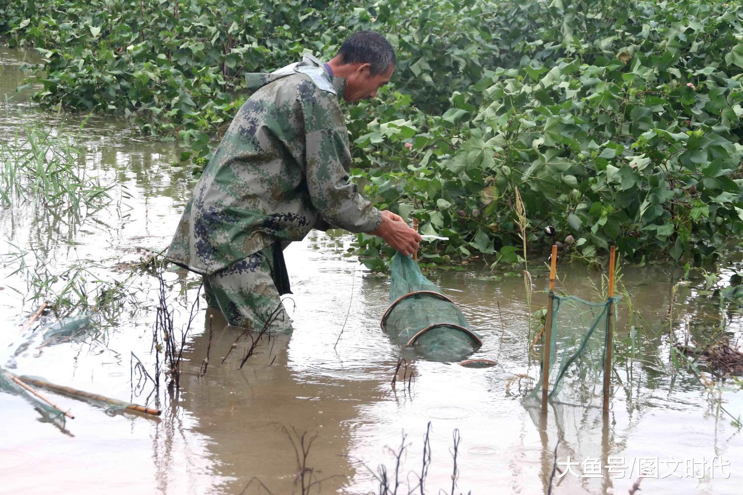 大暴雨过后, 人们在路上捉鱼, 在农田里撒渔网,下地笼