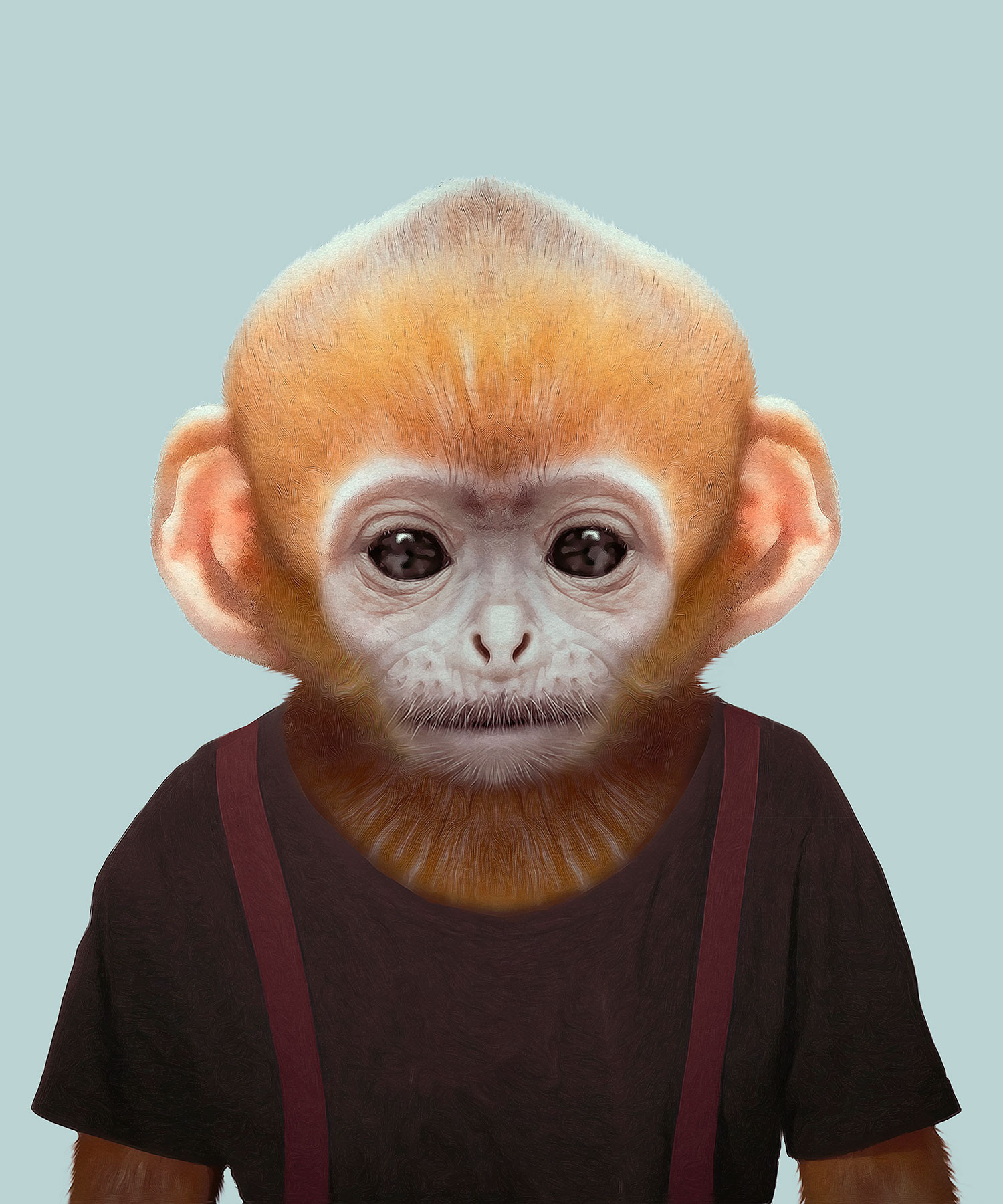 一组动物人身九宫格头像送个你们