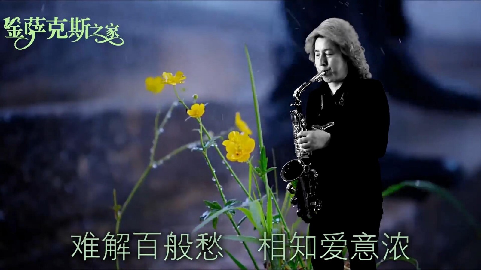 萨克斯《相思风雨中》经典合唱情歌代表作品 情真意切 优美动听