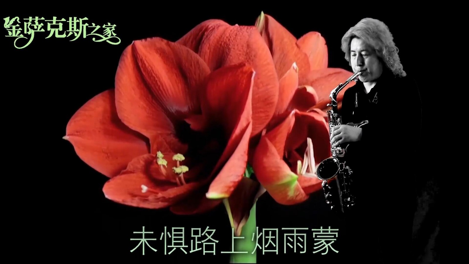 萨克斯《相思风雨中》经典合唱情歌代表作品 情真意切 优美动听