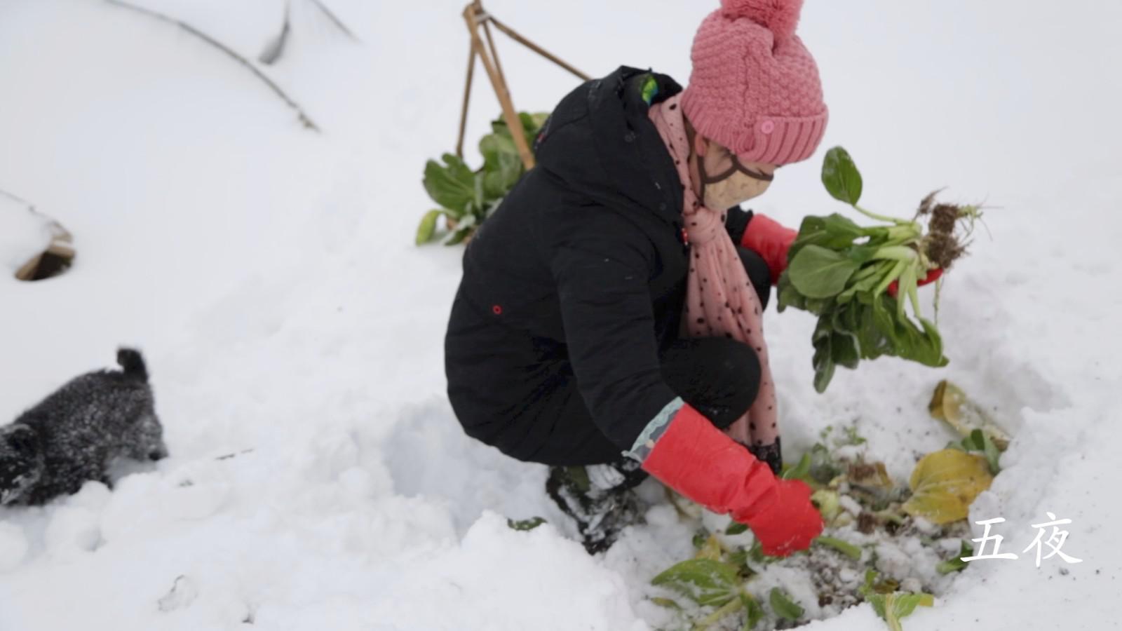 农村女人还能跳出这样的舞步,这是什么舞?城市大妈看了自愧不如