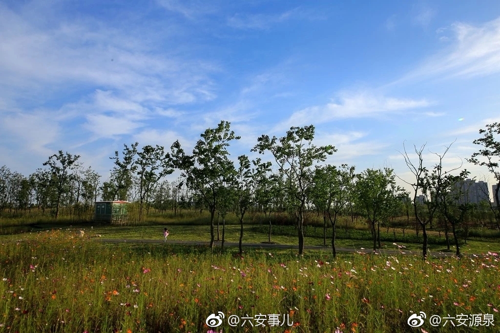 六安大公堰溼地公園——藏在城中無人知的美景