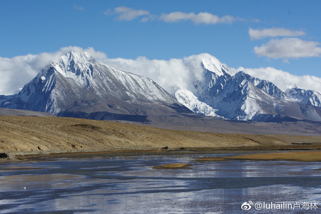 如果时光倒流回到从前,我还是期盼回到西藏帕里草原与牧羊人相遇