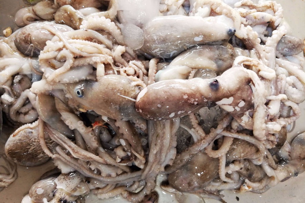 笔管 小鲅鱼 小带鱼都降到10元以下 青岛10块钱全家吃海鲜