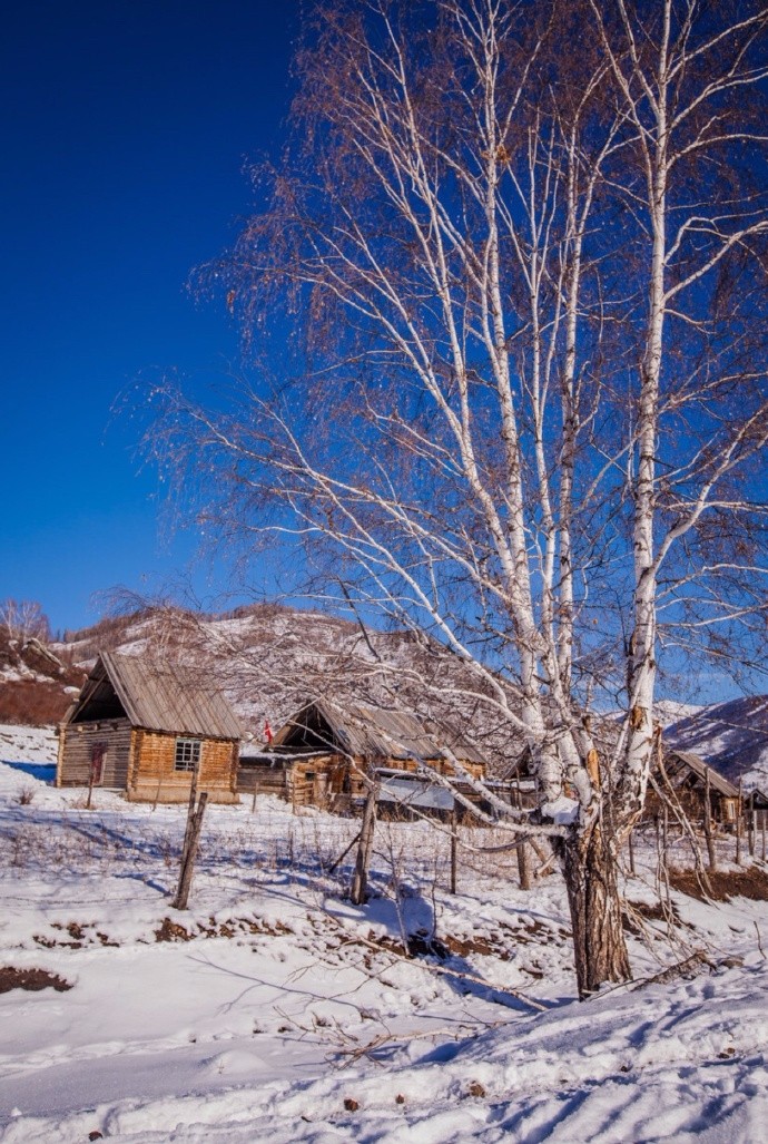 天寒地冻景物长,冰琼碎玉放眼量