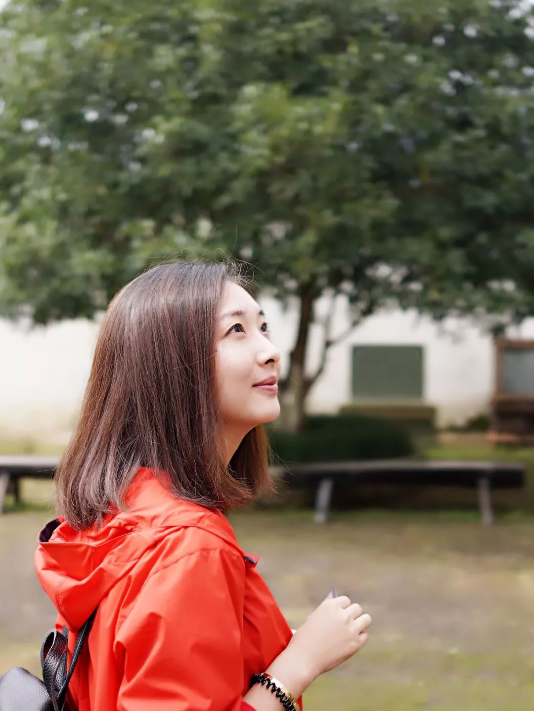 出镜记者简介蔡丽娜,中央电视台中文国际频道《远方的家》出镜记者