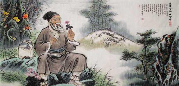 极品医圣在都市 极品医圣有几个女主角