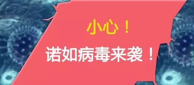诺如病毒已进入高发期,请这样保护孩子!|腹泻|病毒感染|游船|痰盂|洁具_新浪新闻