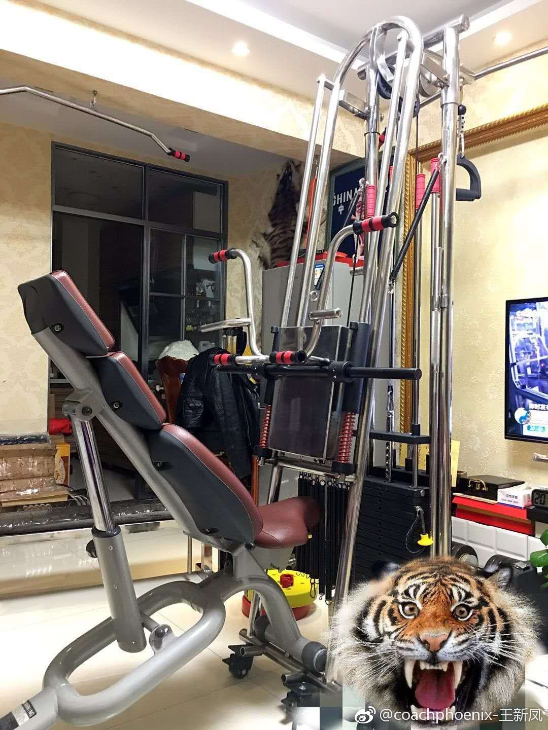 这个是中国第一个国际健美大师陈佳民先生亲自操刀设计的全功能健身器