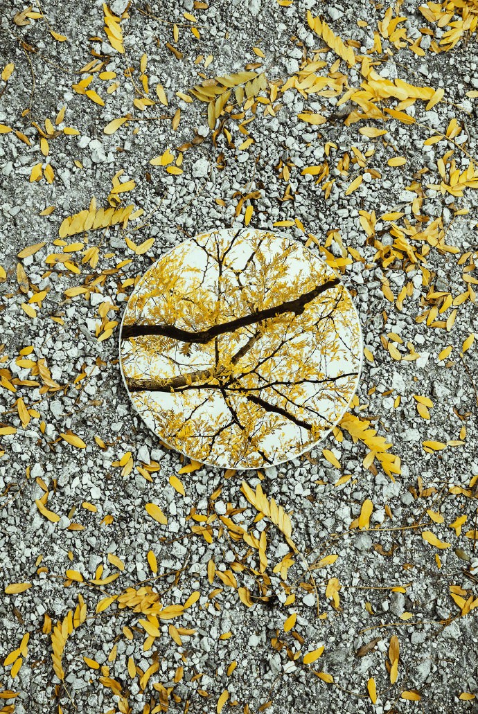 独特视角下的风景作文