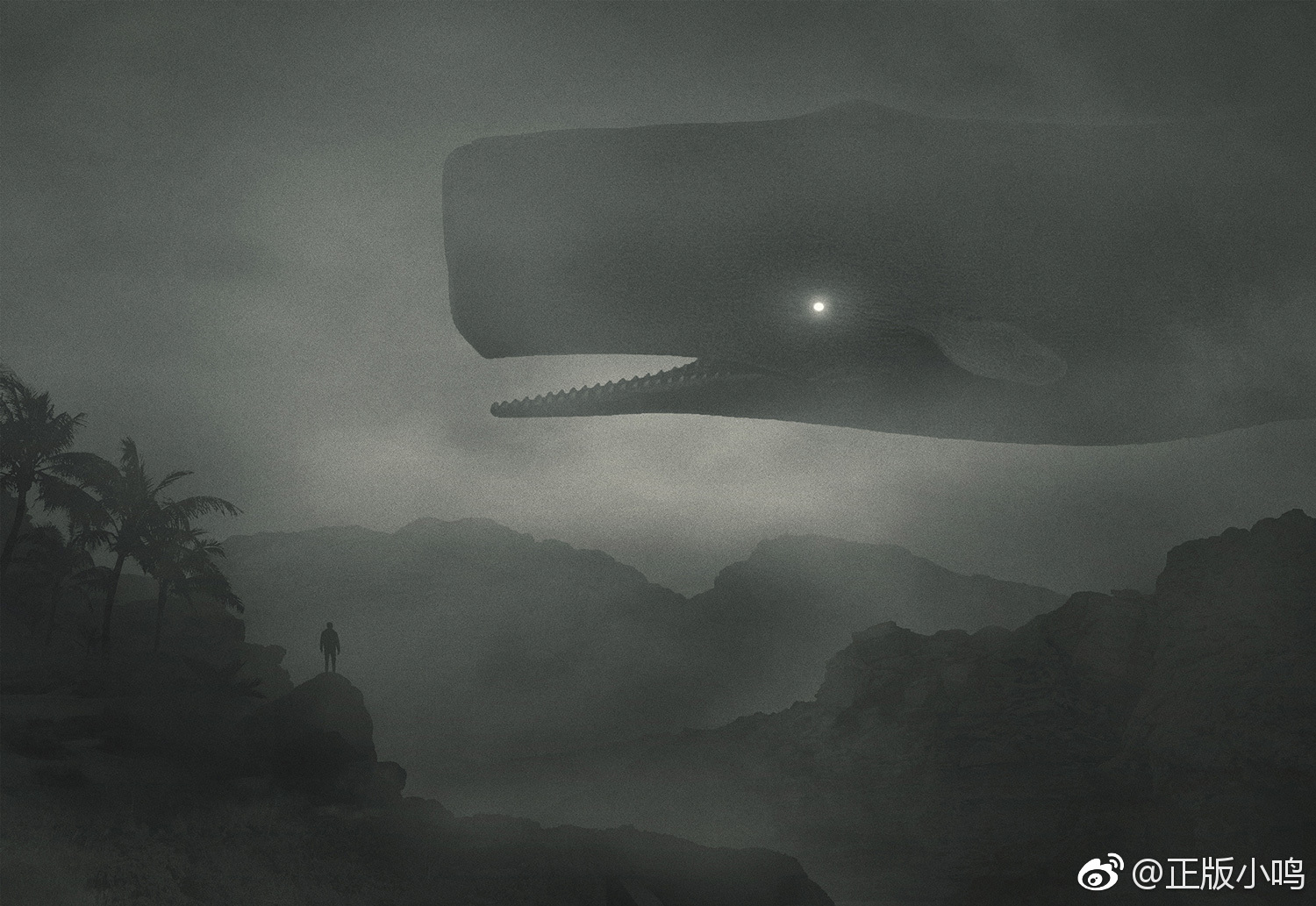 神秘巨兽|在丛林中闪亮的眼睛照亮了周围的黑暗|抑郁|丛林|双臂_新浪