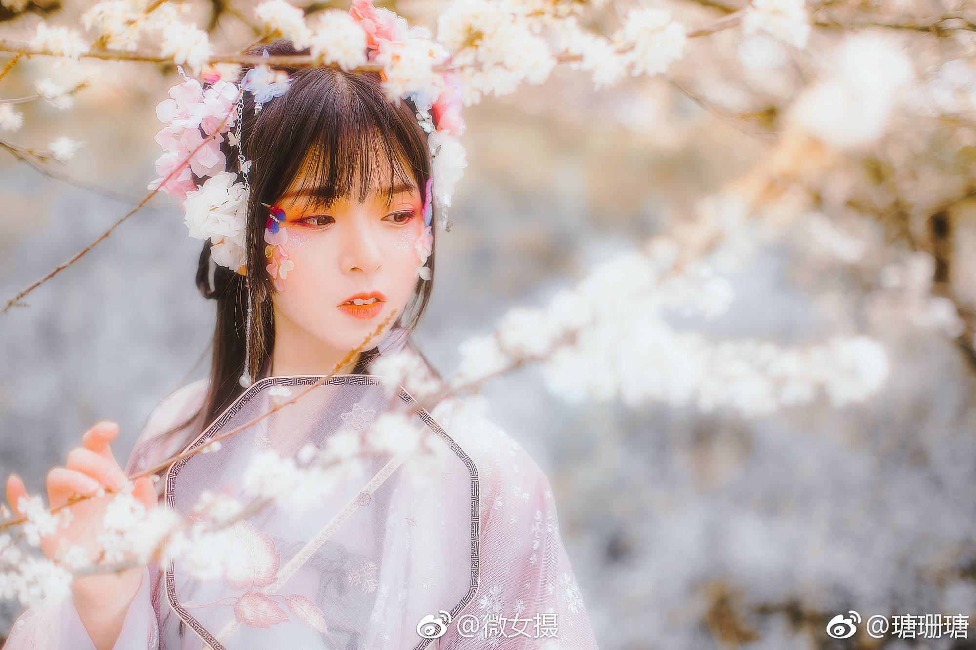 海棠未雨,梨花先雪,一半春休|眼儿媚|摄影|梨花_新浪新闻