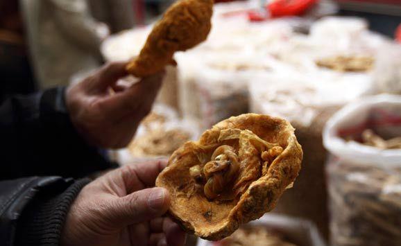 有不少人吃胎盘你敢吃吗医生告诉你胎盘到底能不能吃