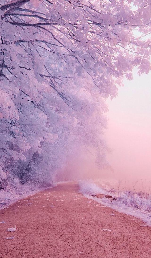 少女心粉色高清系列壁纸