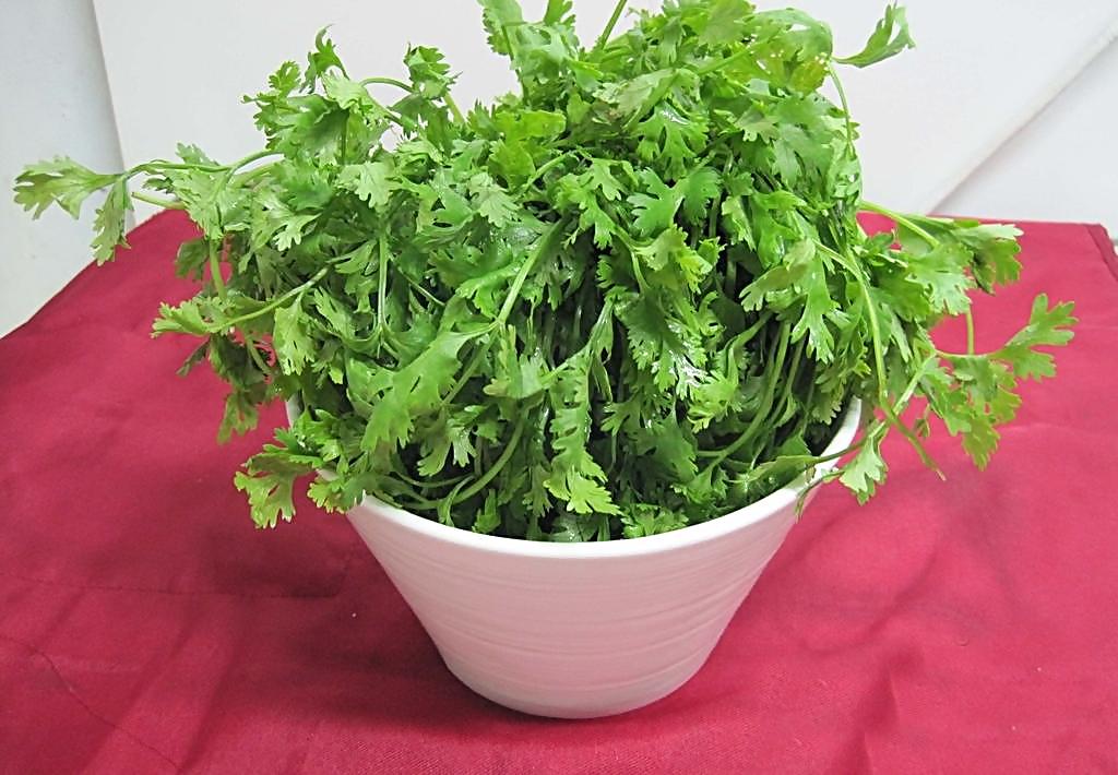 1,香菜的营养价值香菜是一种相当常见的蔬菜,营养价值比较充足.