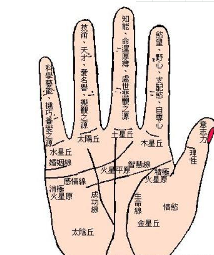 把双手"对齐" 看看你的感情线 就能知道你的"感情观"!