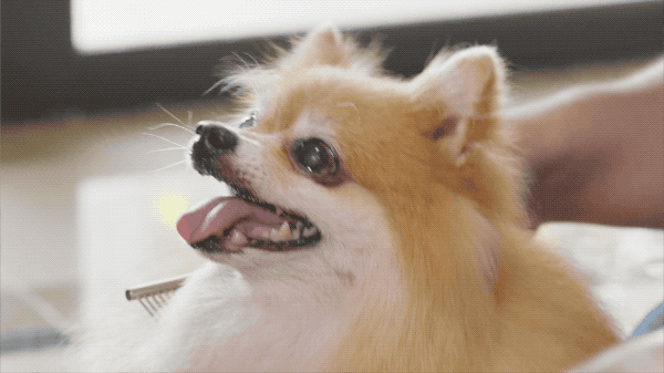 快来从家装中,看出你女盆友的性格!