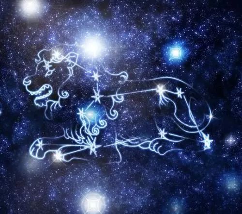 星座神话之狮子座：墨涅亚巨狮升到天界