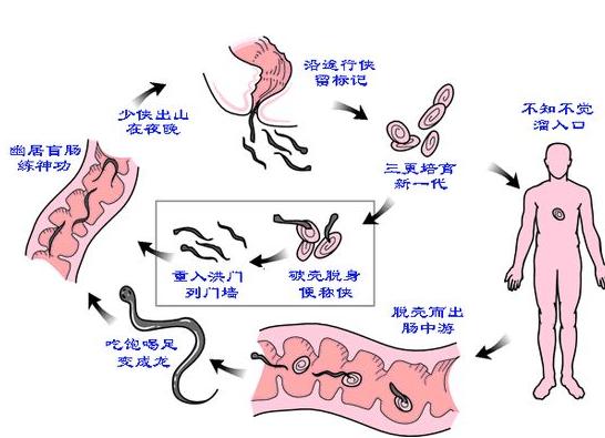 蛔虫|磨牙|孩子_新浪新闻