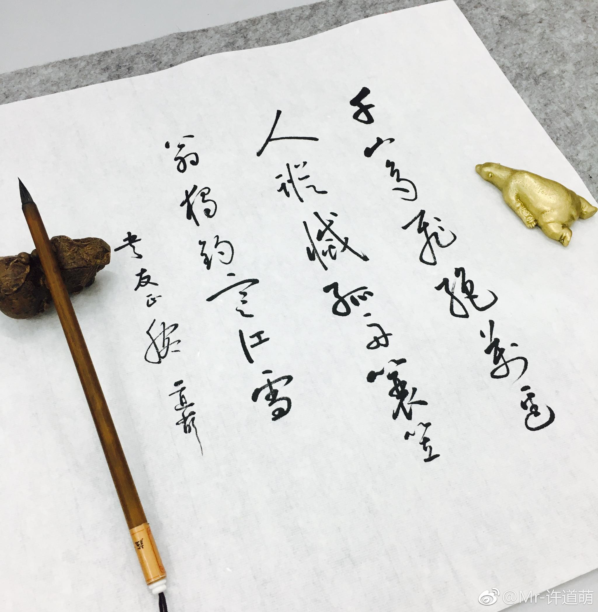 博学之,审问之,慎思之|审问|山鸟|人踪_新浪新闻