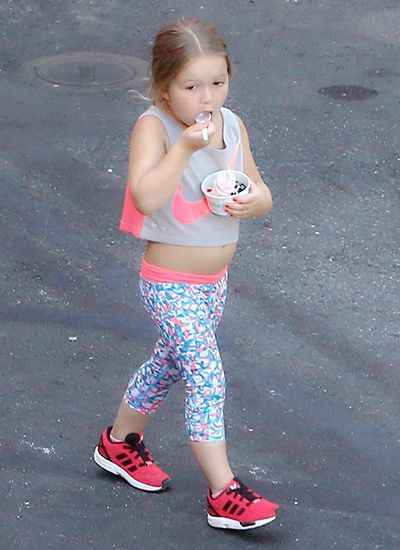 小七简直翻版的贝爷才几天小七又胖回来了露着小肚腩很可爱