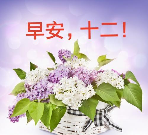 早安,正月十二!美美的十二生肖祝福送给你!