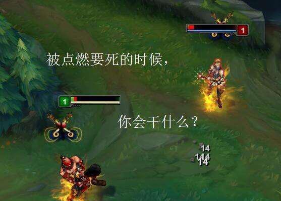 lol: 如果你快被点燃烧死的时候, 最后几秒你会做什么?