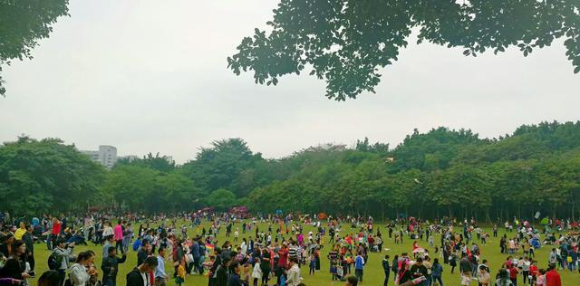 莲花山公园赏花人山人海有你的背影吗