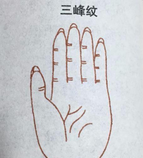 星座运势: 象征大富大贵以及名声地位非特别的手相掌纹, 有你吗?|手相|掌纹|星座_新浪新闻