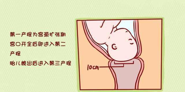 3,宫口要开多大才可以分娩?