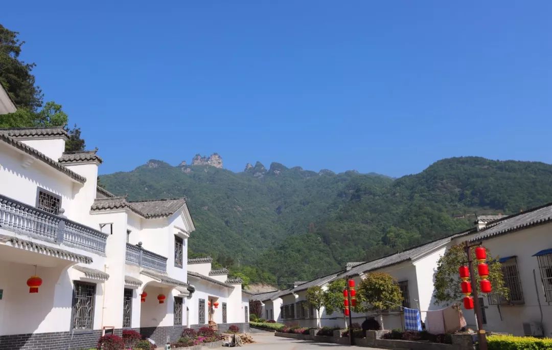 官山镇:绿水青山变金山银山