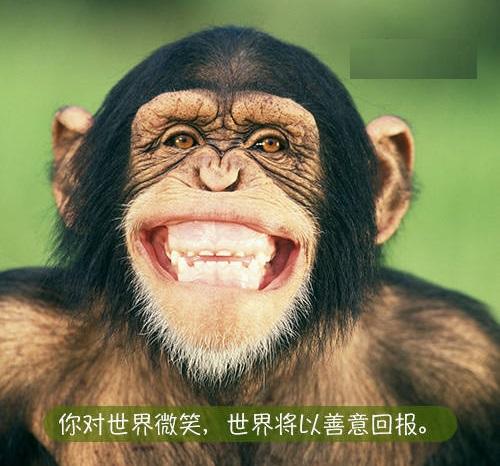 微笑是一种语言世界微笑日你笑了吗