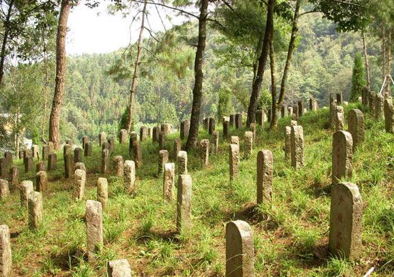 国殇墓园|坟墓|云南腾冲_新浪新闻