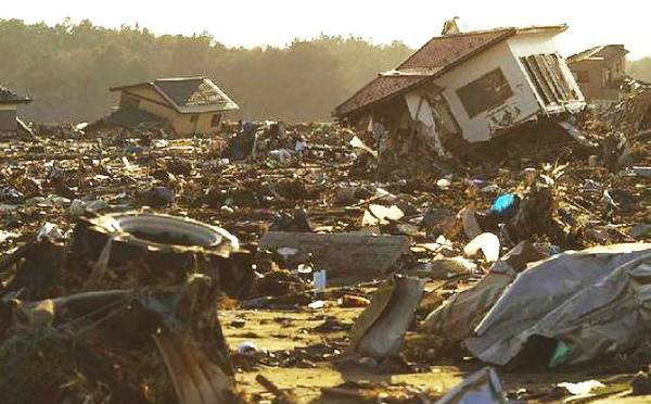 直击日本福岛核泄漏后如今场景张张触目心图5是变异的海鱼